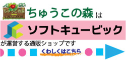 株式会社ソフトキュービック ホームページバナー